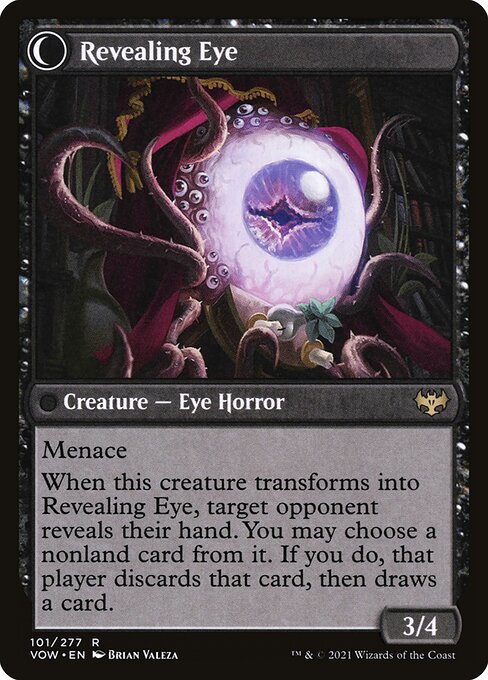 Concealing Curtains // Revealing Eye - Verso