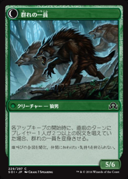 Solitary Hunter // One of the Pack - Verso