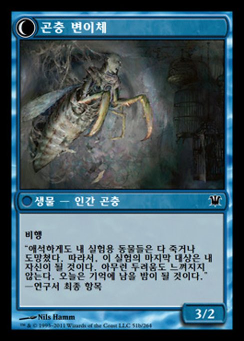 Delver of Secrets // Insectile Aberration - Verso