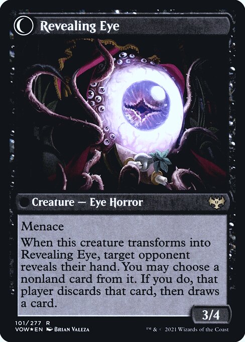 Concealing Curtains // Revealing Eye - Verso