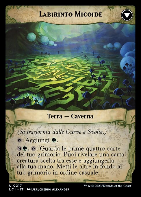 Twists and Turns // Mycoid Maze - Verso