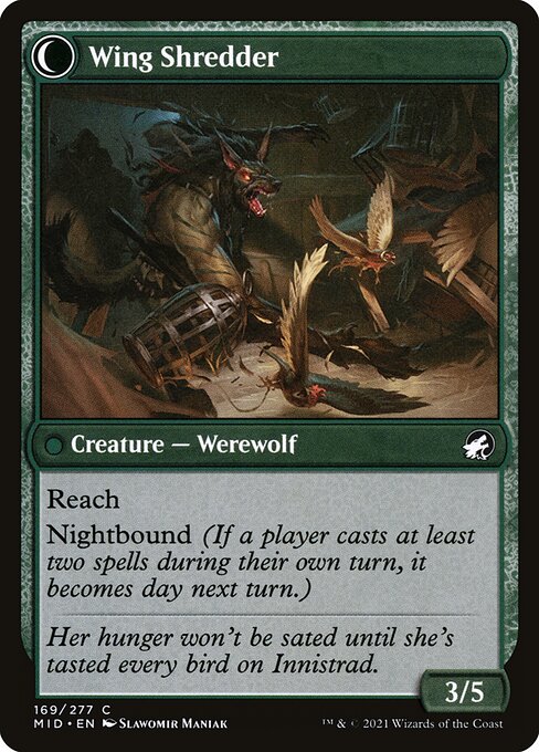 Bird Admirer // Wing Shredder - Verso
