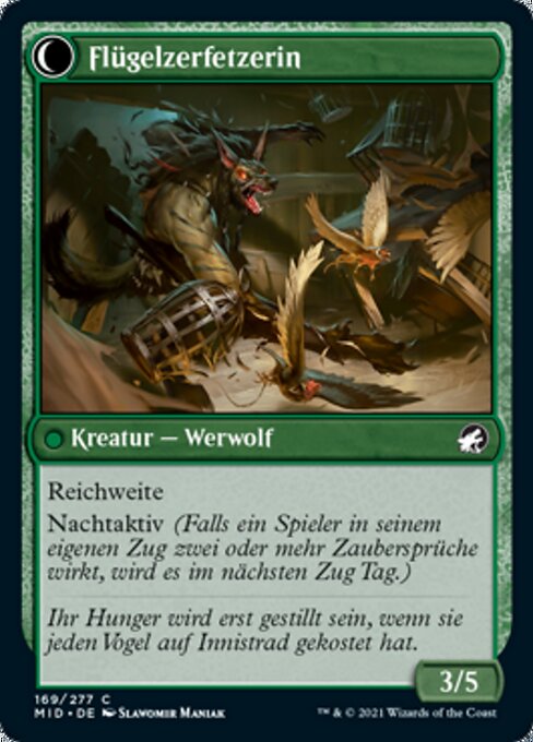 Bird Admirer // Wing Shredder - Verso