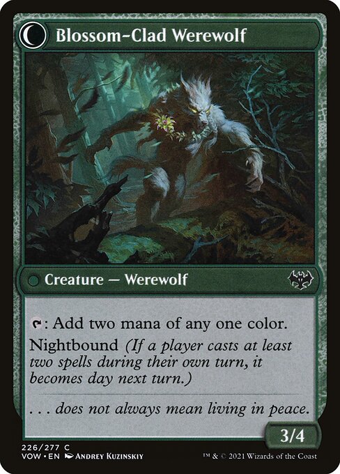 Weaver of Blossoms // Blossom-Clad Werewolf - Verso