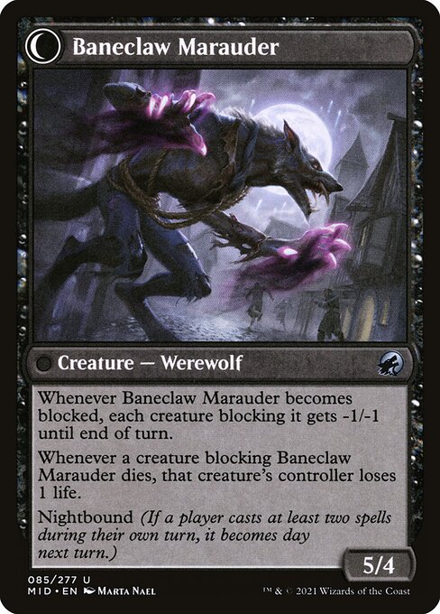 Baneblade Scoundrel // Baneclaw Marauder - Verso