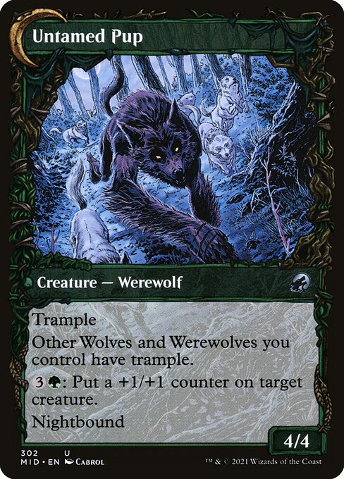 Hound Tamer // Untamed Pup - Verso