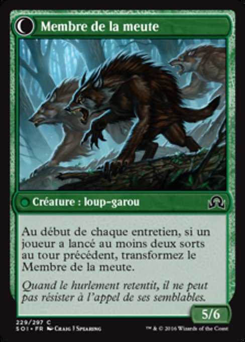 Solitary Hunter // One of the Pack - Verso