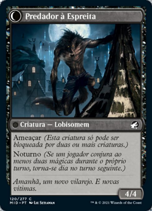 Shady Traveler // Stalking Predator - Verso