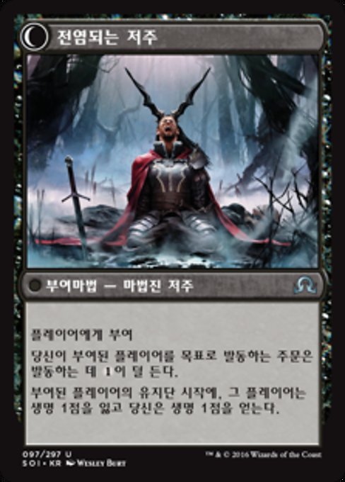 Accursed Witch // Infectious Curse - Verso