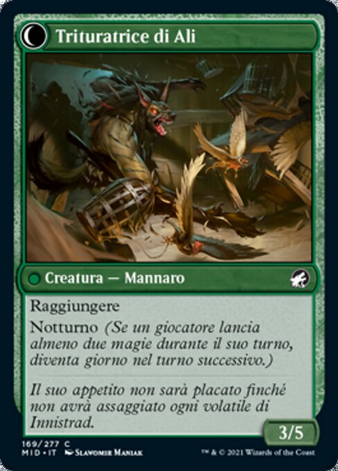 Bird Admirer // Wing Shredder - Verso