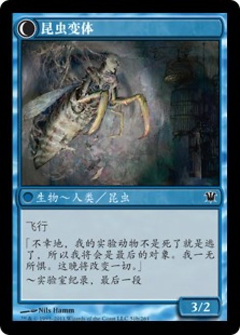 Delver of Secrets // Insectile Aberration - Verso