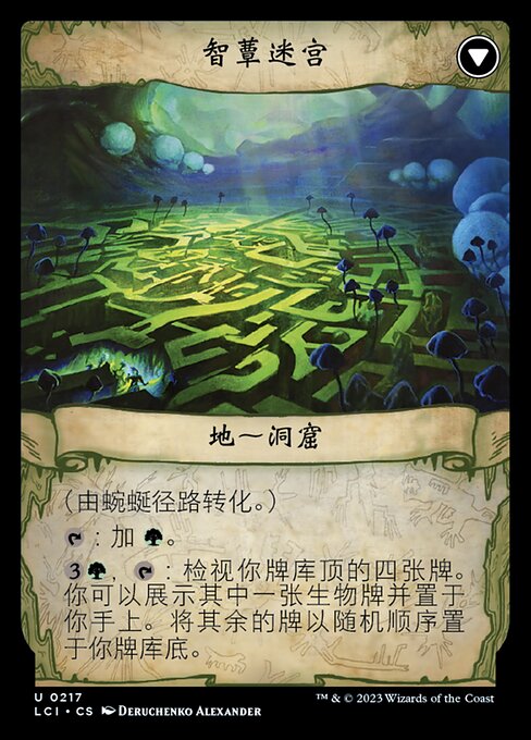 Twists and Turns // Mycoid Maze - Verso