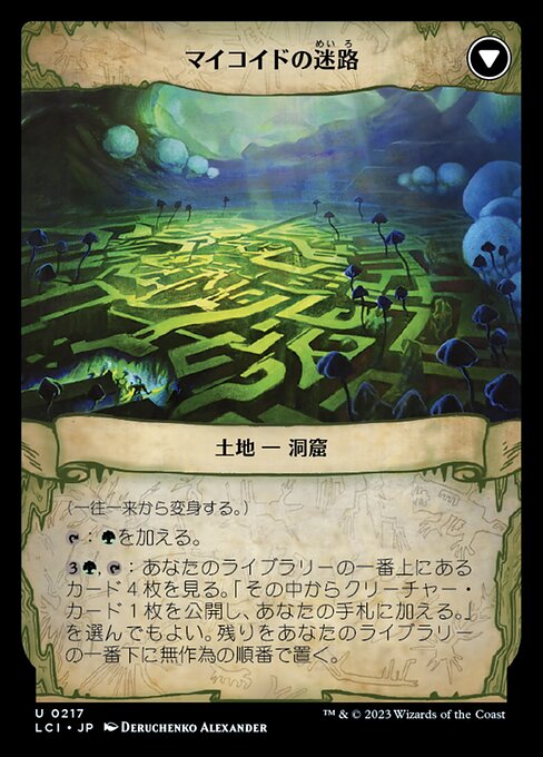 Twists and Turns // Mycoid Maze - Verso