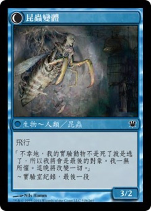 Delver of Secrets // Insectile Aberration - Verso
