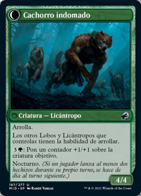 Hound Tamer // Untamed Pup - Verso