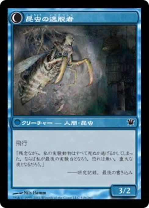 Delver of Secrets // Insectile Aberration - Verso