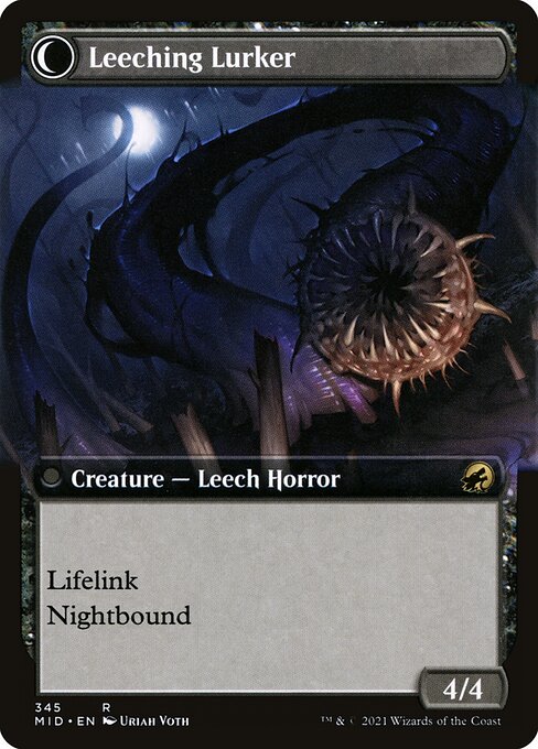 Curse of Leeches // Leeching Lurker - Verso