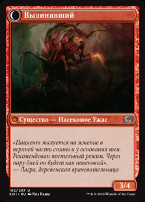 Skin Invasion // Skin Shedder - Verso