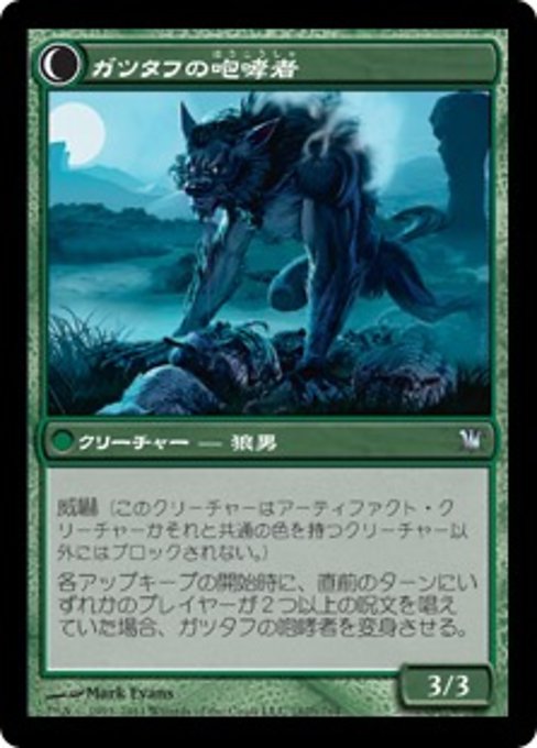 Gatstaf Shepherd // Gatstaf Howler - Verso