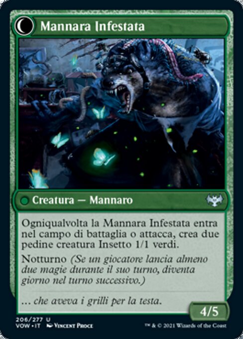 Infestation Expert // Infested Werewolf - Verso