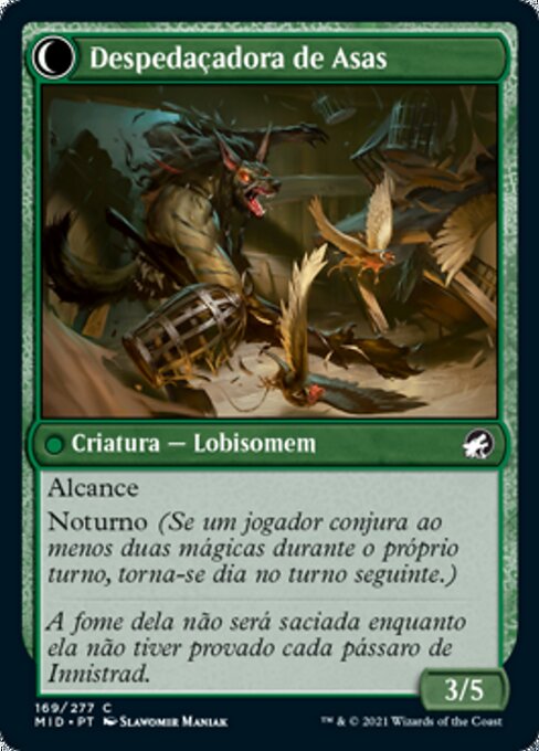 Bird Admirer // Wing Shredder - Verso
