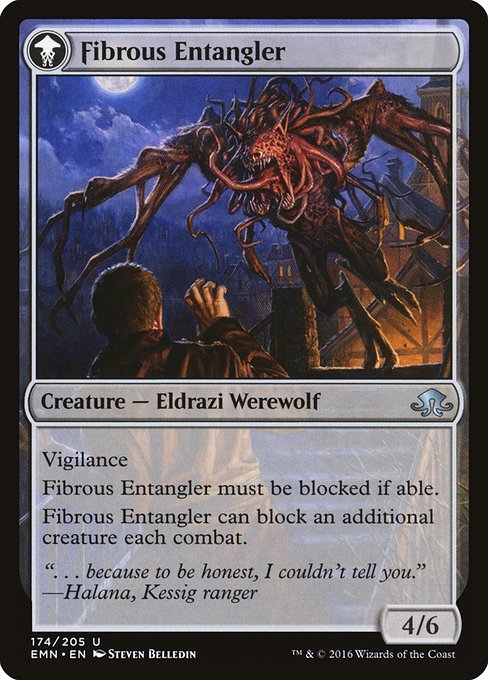 Tangleclaw Werewolf // Fibrous Entangler - Verso