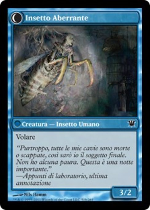 Delver of Secrets // Insectile Aberration - Verso
