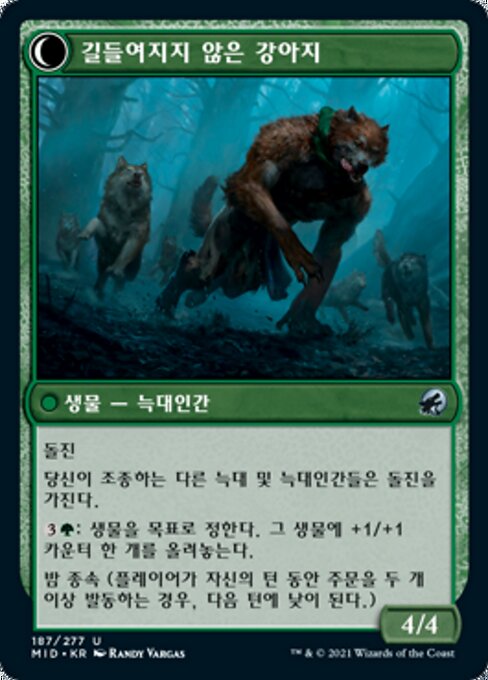 Hound Tamer // Untamed Pup - Verso