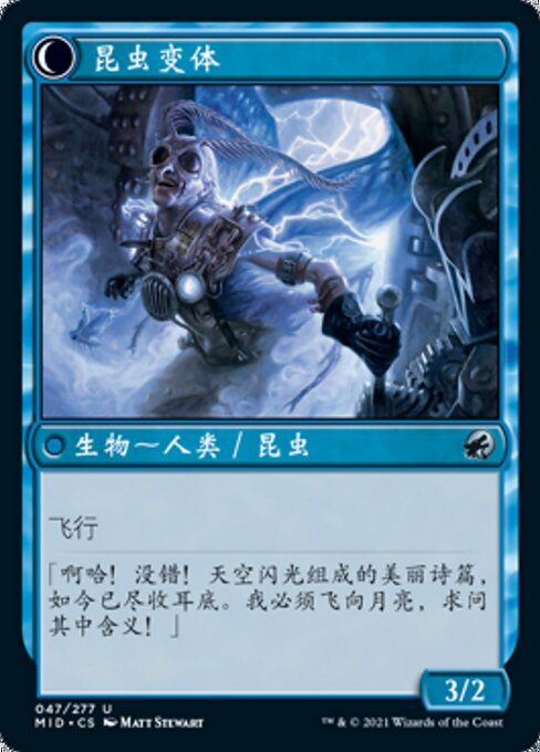 Delver of Secrets // Insectile Aberration - Verso