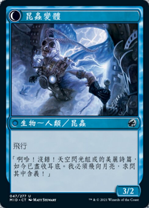 Delver of Secrets // Insectile Aberration - Verso
