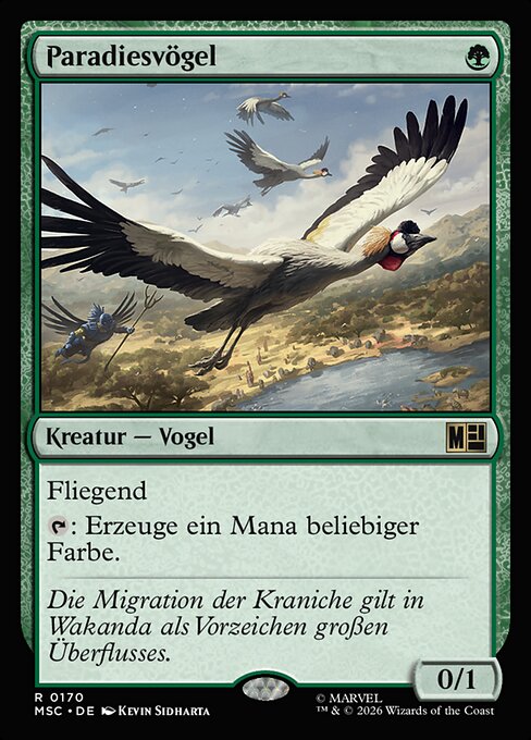 Birds of Paradise