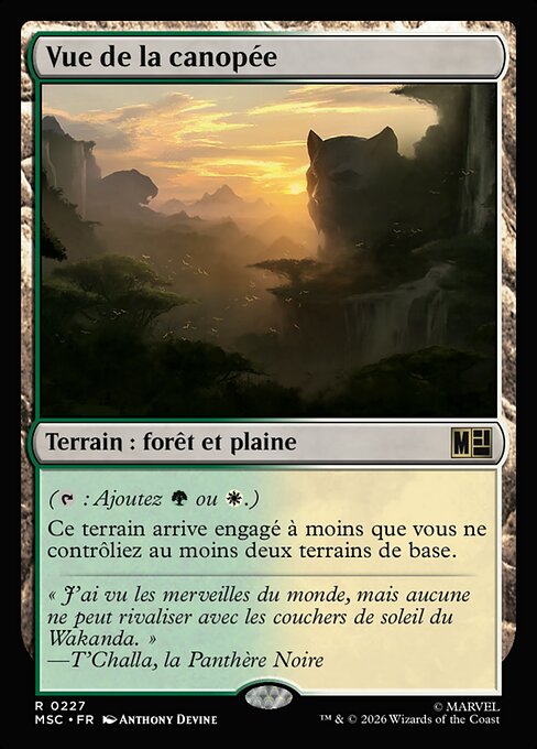 Canopy Vista