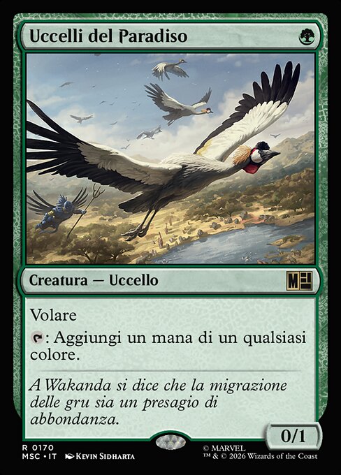 Birds of Paradise