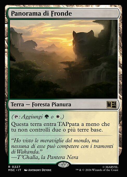 Canopy Vista