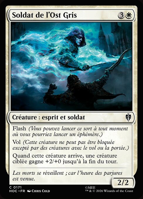 Soldier of the Grey Host