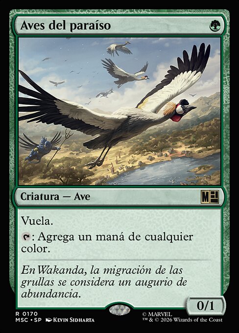 Birds of Paradise