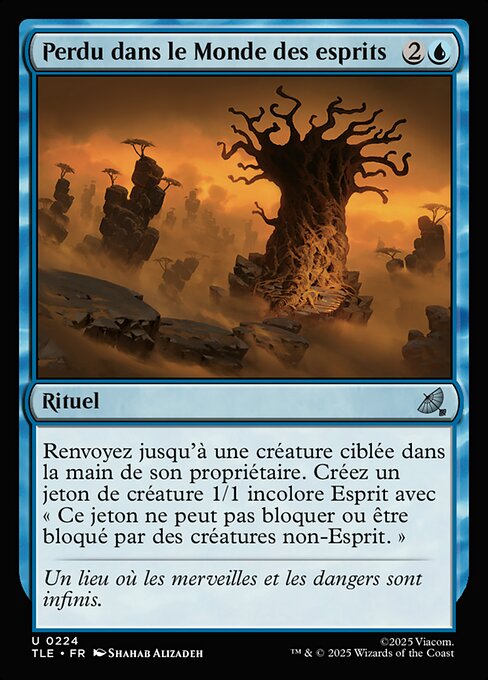 Lost in the Spirit World