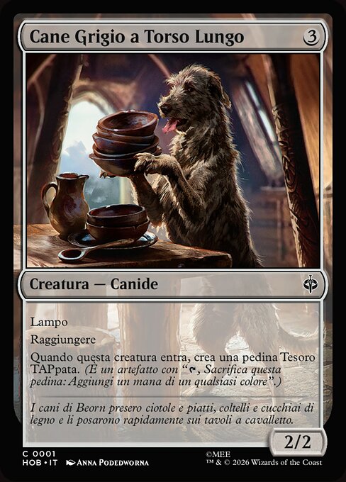 Long-Bodied Grey Dog