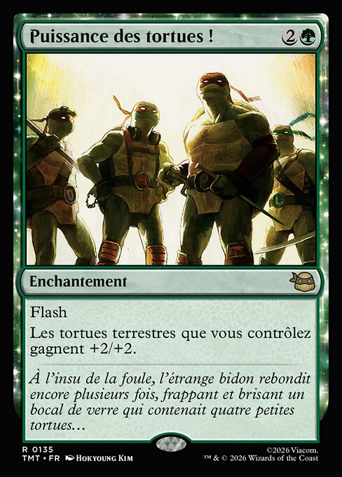Turtle Power!