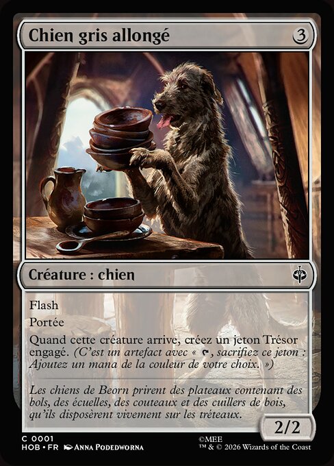 Long-Bodied Grey Dog