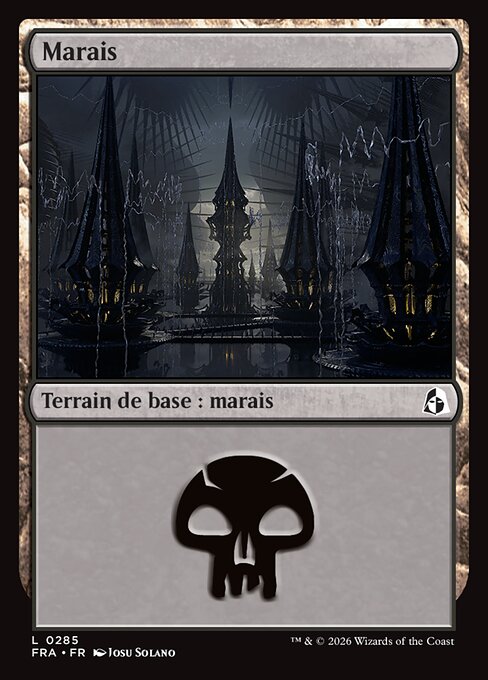 Swamp