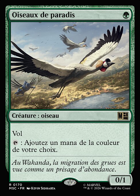 Birds of Paradise