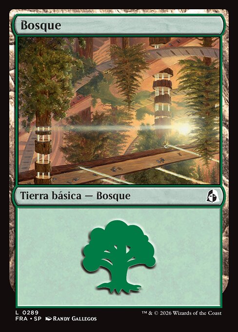 Forest