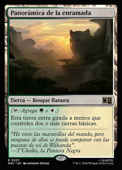 Canopy Vista