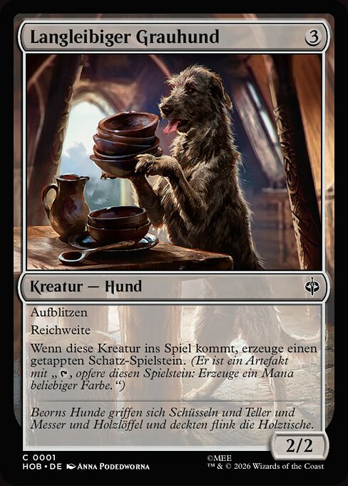 Long-Bodied Grey Dog