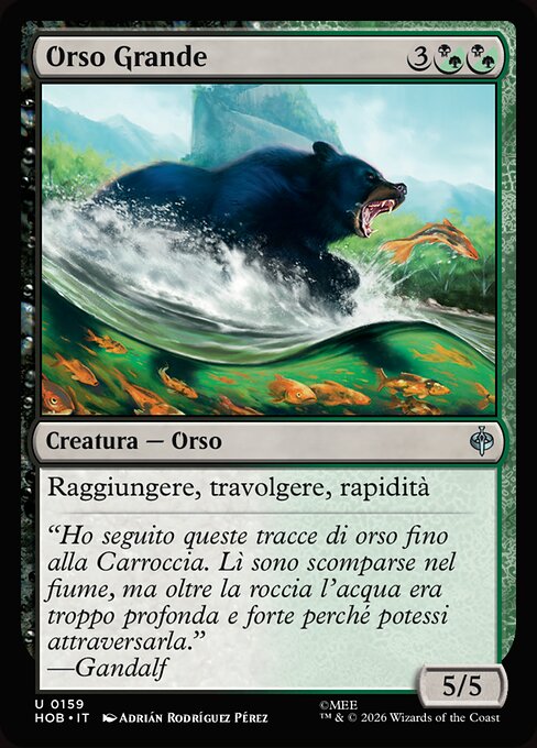 Large Bear