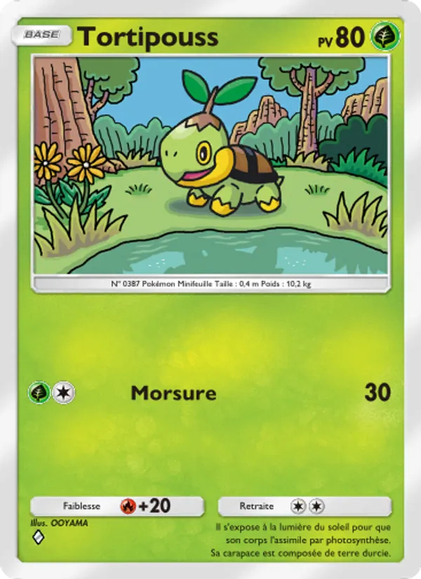 Tortipouss