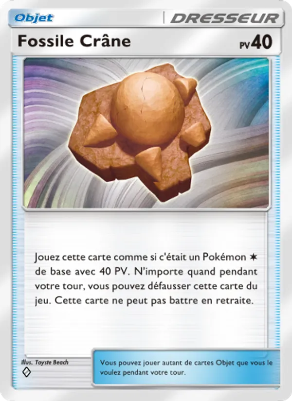 Fossile Crâne