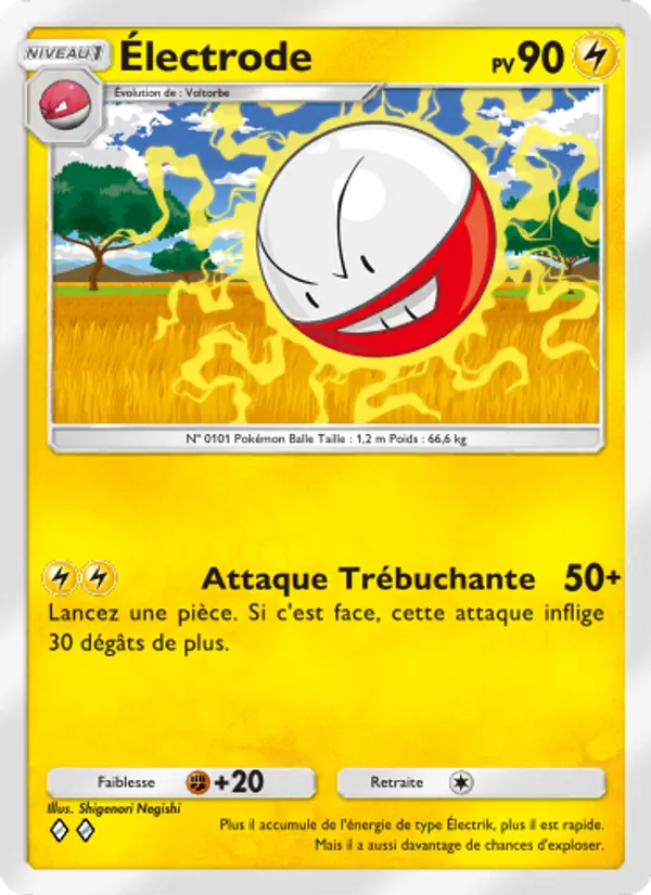 Électrode