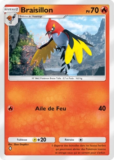 Braisillon